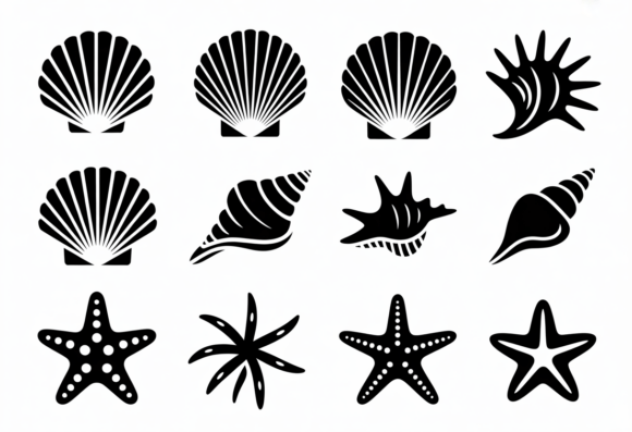 Download Seashell and Starfish SVG Icons Bundle - Sea Collection