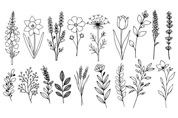 Download Set of Herbs and Wild Flowers Vector Art - Wild flowers Collection