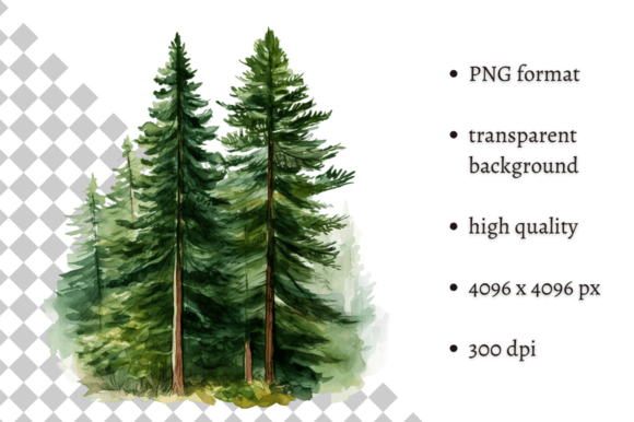 Download Watercolor Woodland Pine Tree Clipart - Pine tree Collection