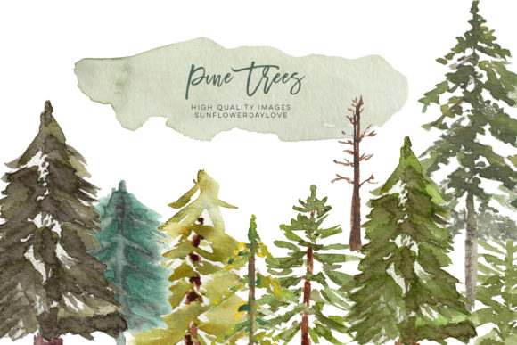 Download Watercolor Pine Tree Clipart, Evergreen - Pine tree Collection
