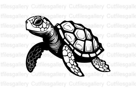 Download Sea Turtle SVG, Sea Animal SVG, Turtle - Sea animal svg Collection