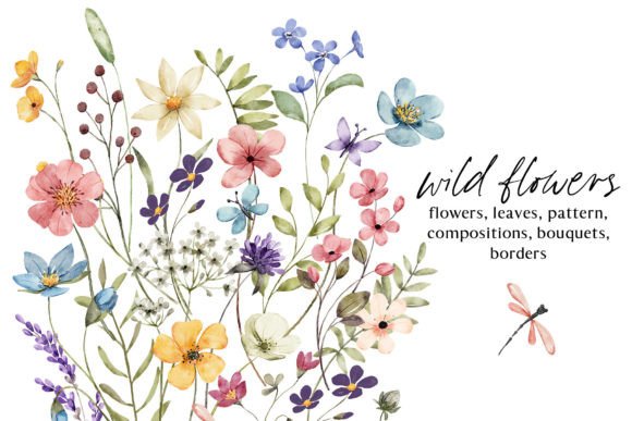 Download Wild Flowers, Butterflies and Dragonfly. - Wild flowers Collection