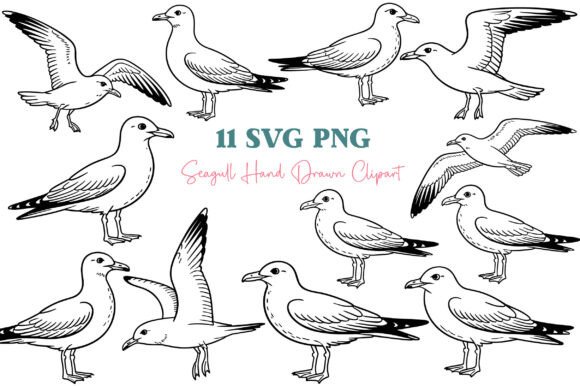 Download Seagull Clipart SVG &amp; PNG Bundle - Sea Collection