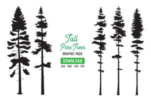 Download Tall Pine Tree Vector Graphic Bundle - Pine tree Collection