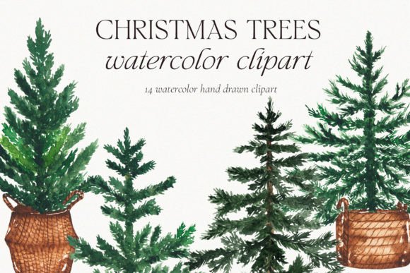 Download Watercolor Christmas Pine Tree Clipart - Pine tree Collection